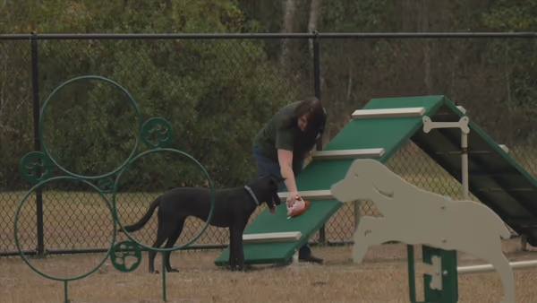 Zollie Young Dog Park photo 1